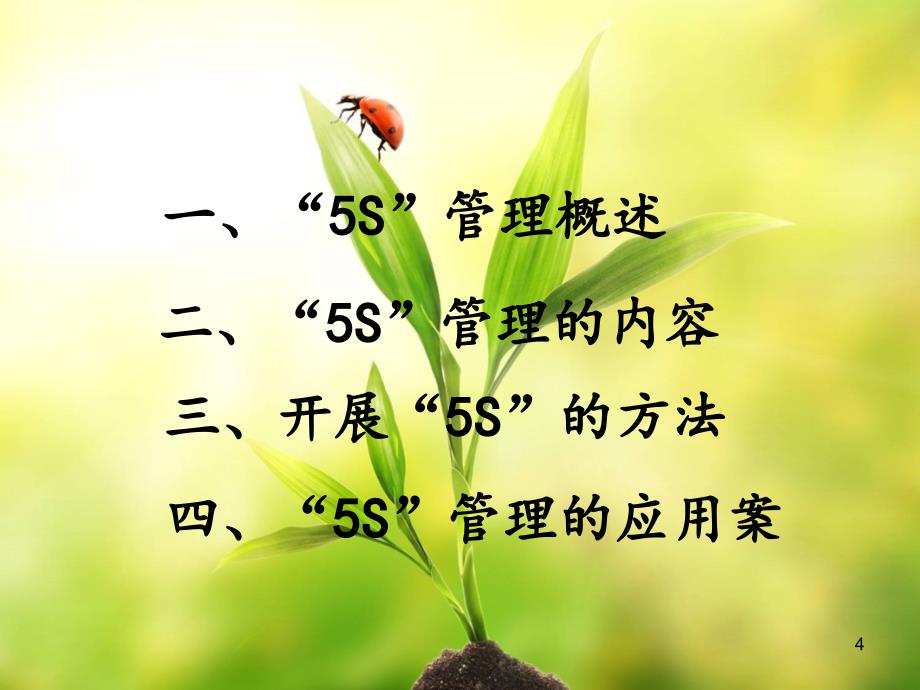 基础工业工程5S管理ppt课件_第4页