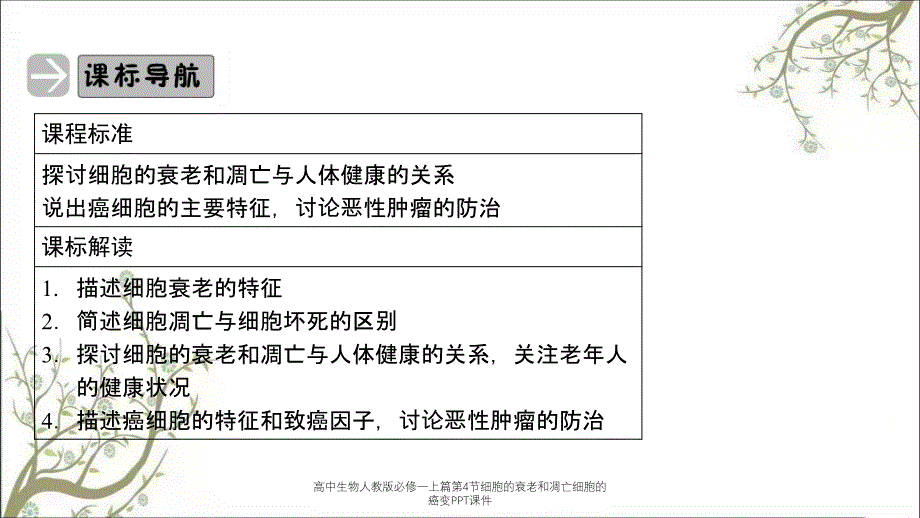 高中生物人教版必修一上篇第4节细胞的衰老和凋亡细胞的癌变PPT课件_第3页