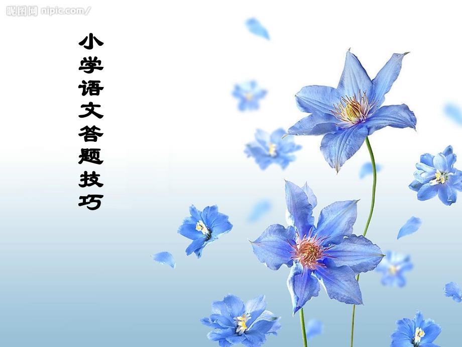 小学语文考试答题技巧课堂PPT_第1页
