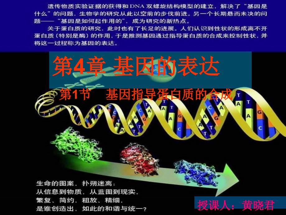 基因指导蛋白质的合成_第2页