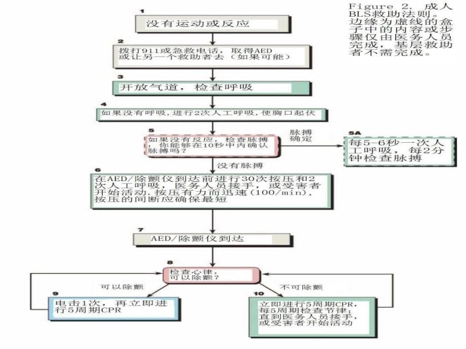 急救CPR培训课件版_第5页