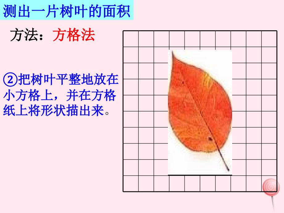 三年级数学下册1.3树叶的面积课件1沪教版_第4页