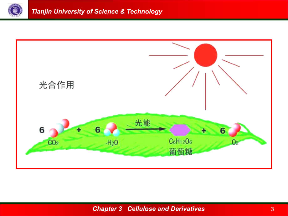 纤维素及其衍生物#上课课堂_第3页