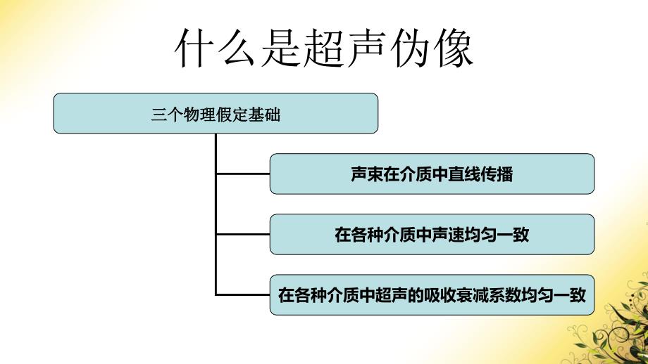 超声伪像的利与弊.ppt_第2页