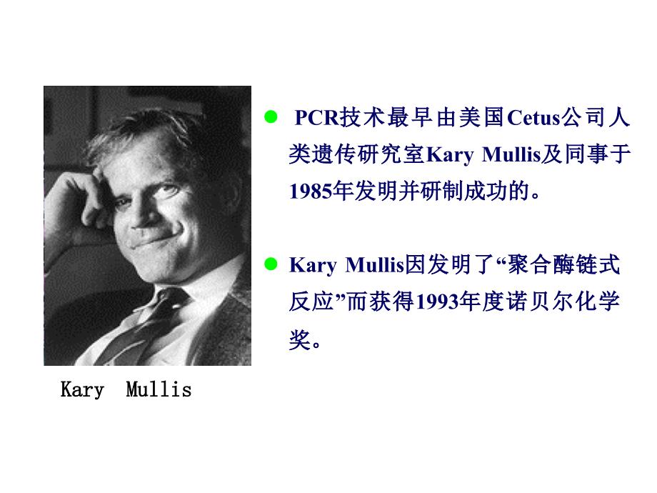 分子医学技能实验：实验二PCR技术_第3页