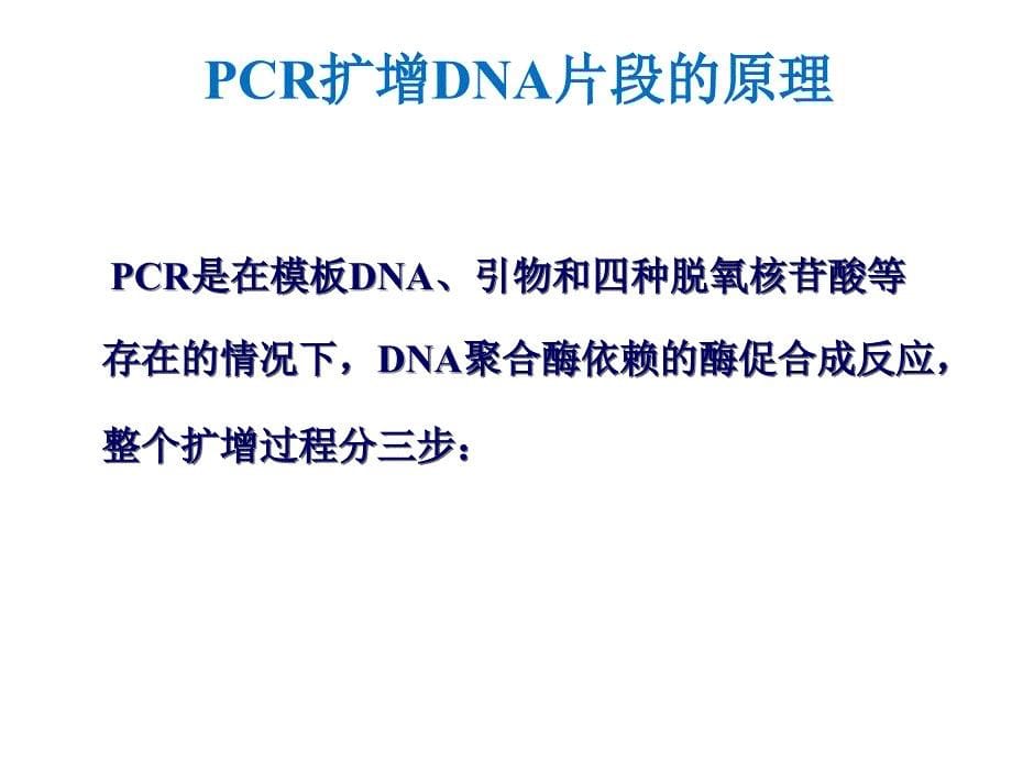 分子医学技能实验：实验二PCR技术_第5页