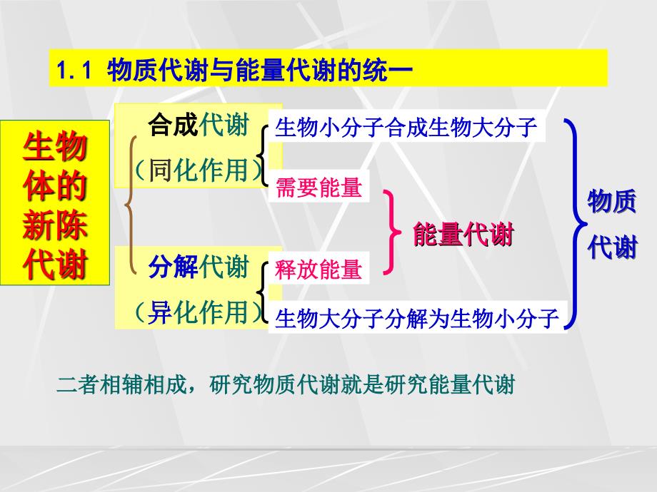 第二篇物质代谢及其调节_第3页