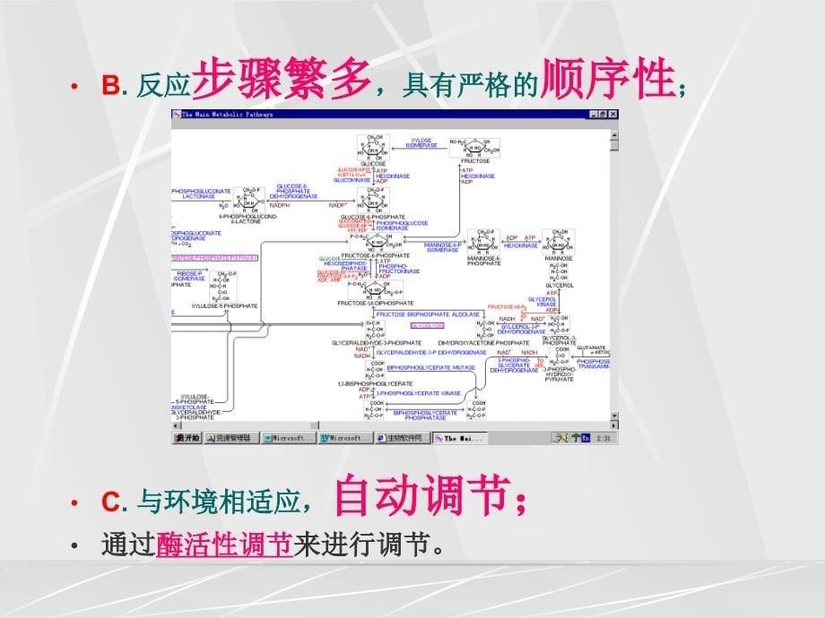 第二篇物质代谢及其调节_第5页