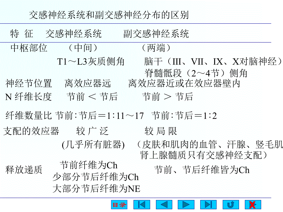 《神经系统对内脏》PPT课件.ppt_第2页