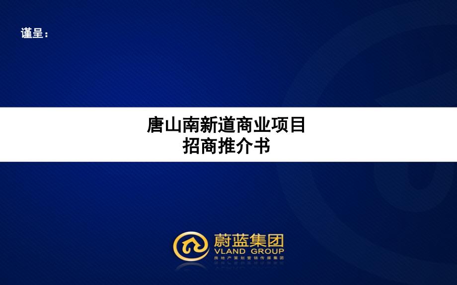 恒和南新道商业项目招商推介书描述_第1页