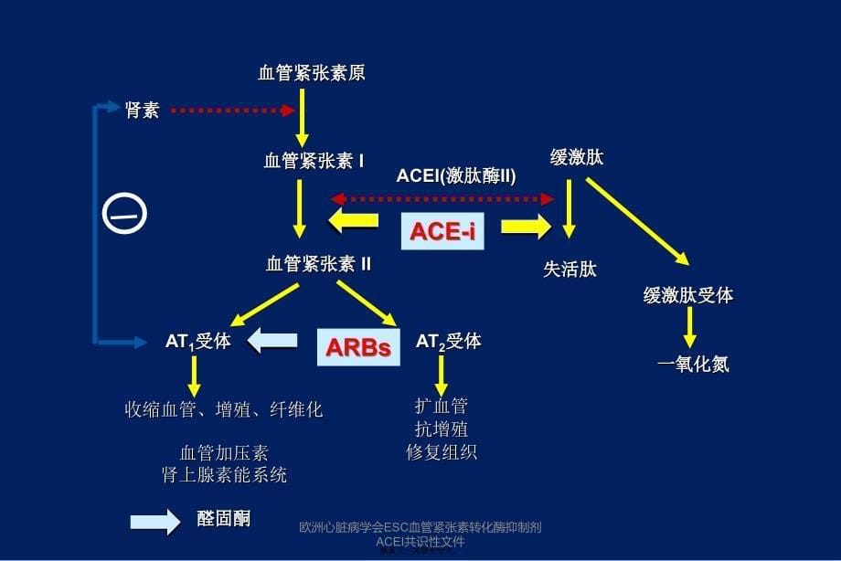 欧洲心脏病学会ESC血管紧张素转化酶抑制剂ACEI共识性课件_第5页