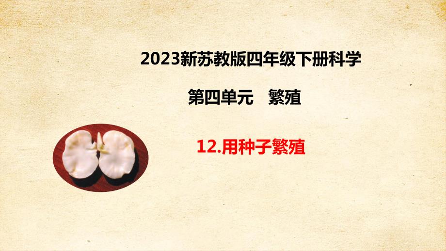 苏教版四年级科学下册4-12用种子繁殖知识点考点复习课件_第1页