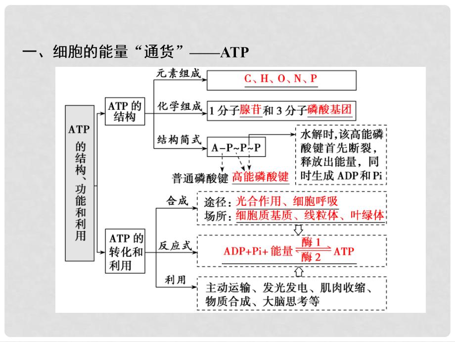 高考生物一轮复习 第三单元 光合作用与细胞呼吸 第一讲 ATP和酶课件 苏教版_第4页