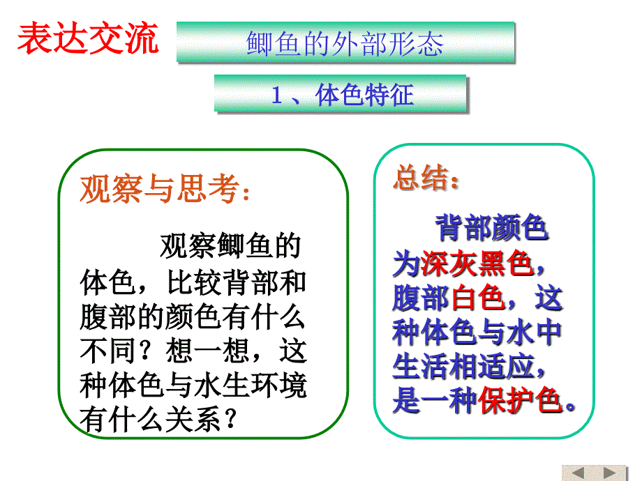 一节动物的主要类群鱼类_第4页