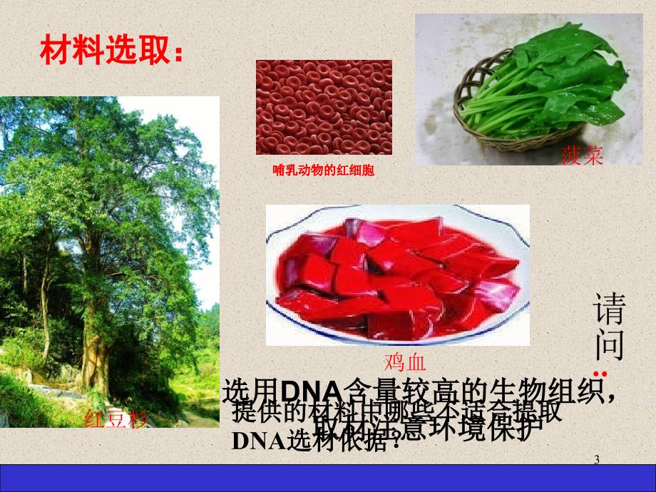 DNA的粗提取和鉴定_第3页