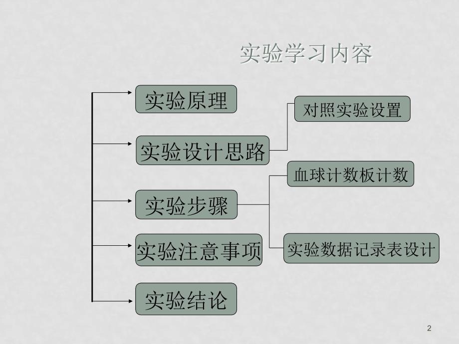 高中生物探究酵母菌种群数量动态变化(课件）新人教版必修3_第2页