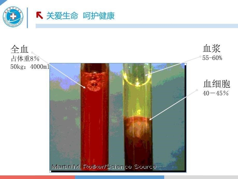 第八章 血液及血液成分的制备和保存_第5页