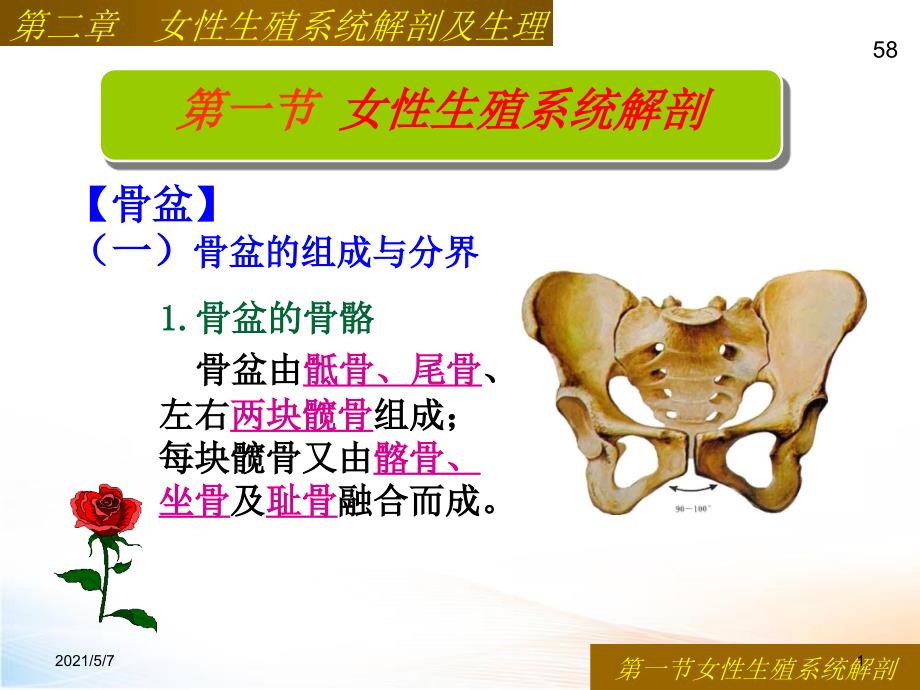 女性生殖系统解剖骨盆_第1页