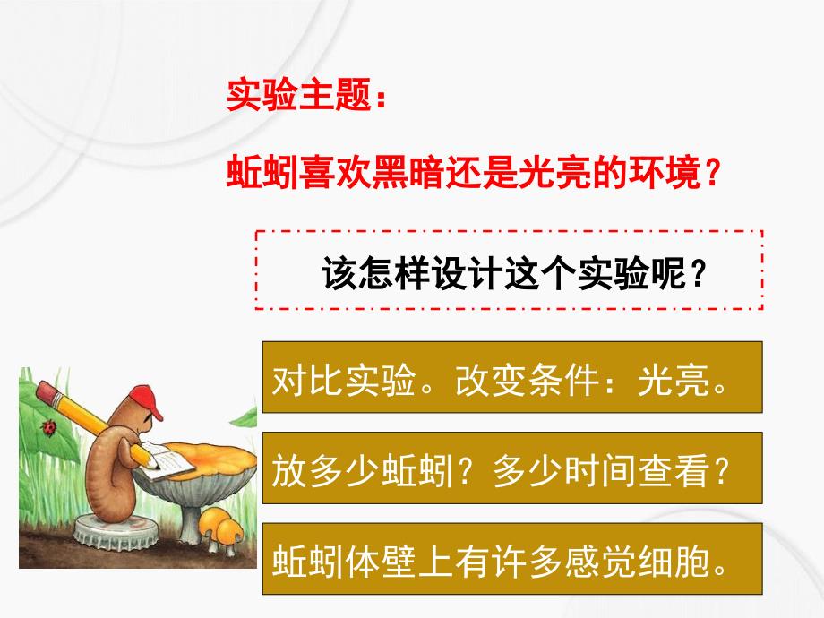 五年级科学上册1.4蚯蚓的选择课件2教科版教科版小学五年级上册自然科学课件_第3页