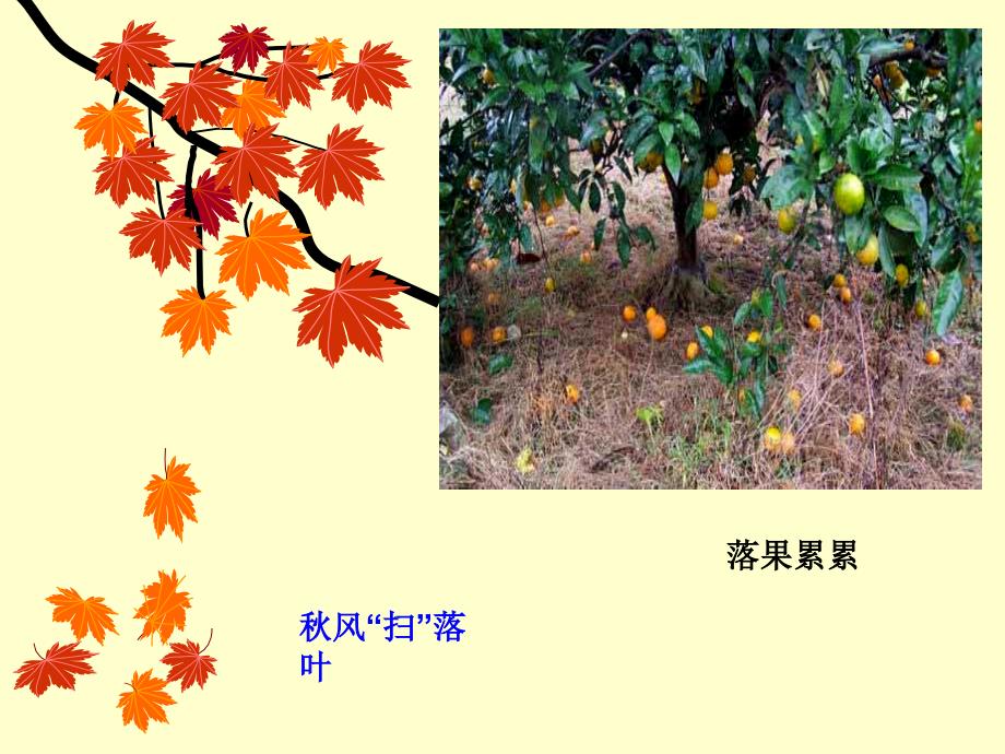 其他植物激素_第2页