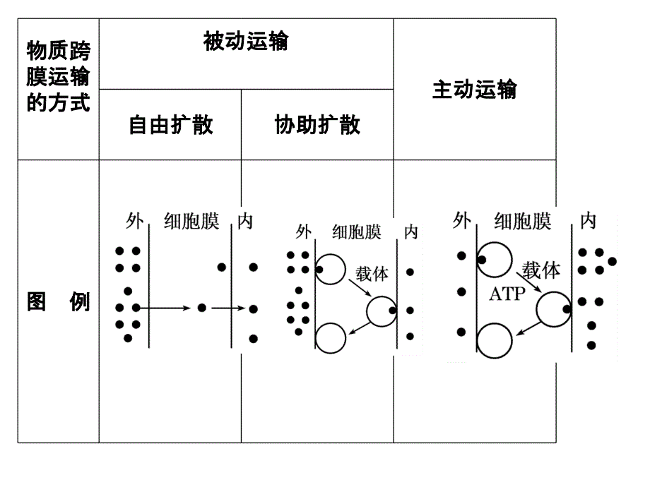 物质跨膜运输的方式曲线图及跨膜(用).ppt_第4页