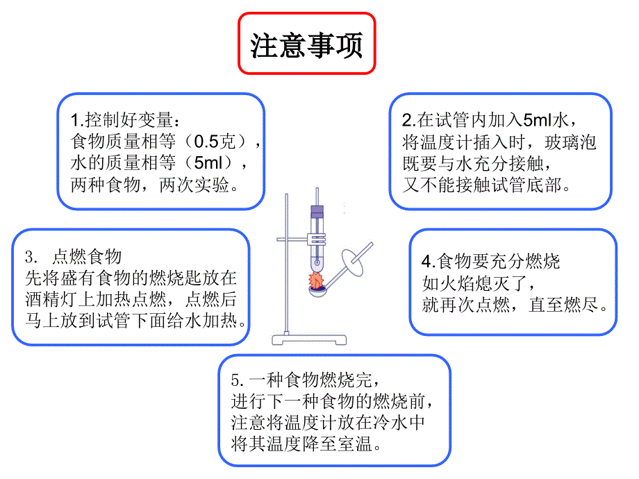 浙教版九年级上册第四章-代谢与平衡第1节-食物与营养(共25张PPT)课件_第3页