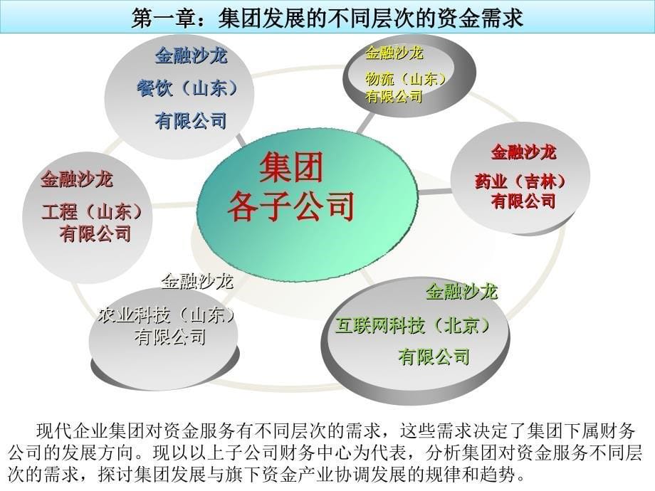 集团财务工作实施方案_第5页