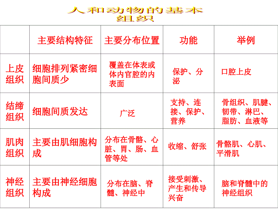 植物体的主要组织.ppt_第2页