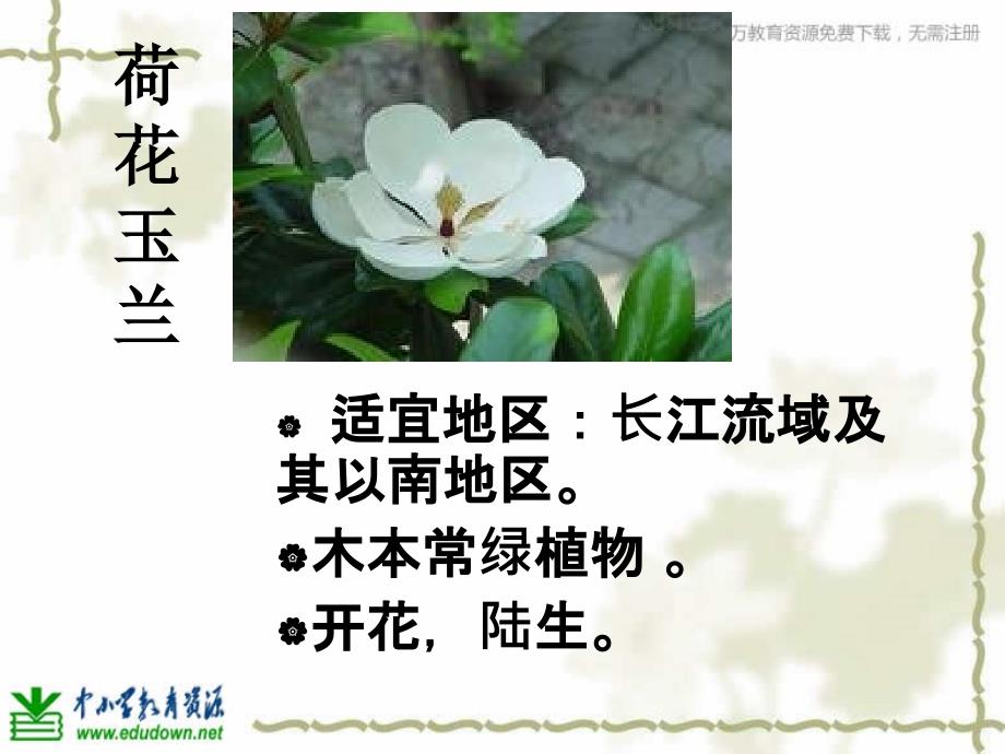 教科版学六上多种多样的植物PPT课件_第2页