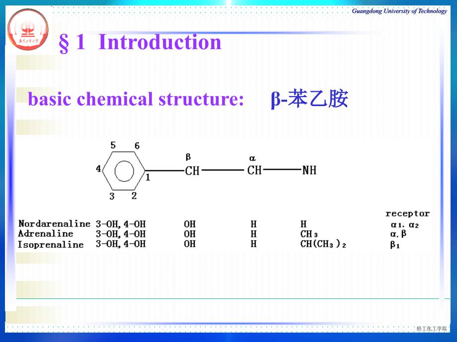 9第九章肾上腺素受体激动药文档资料_第1页