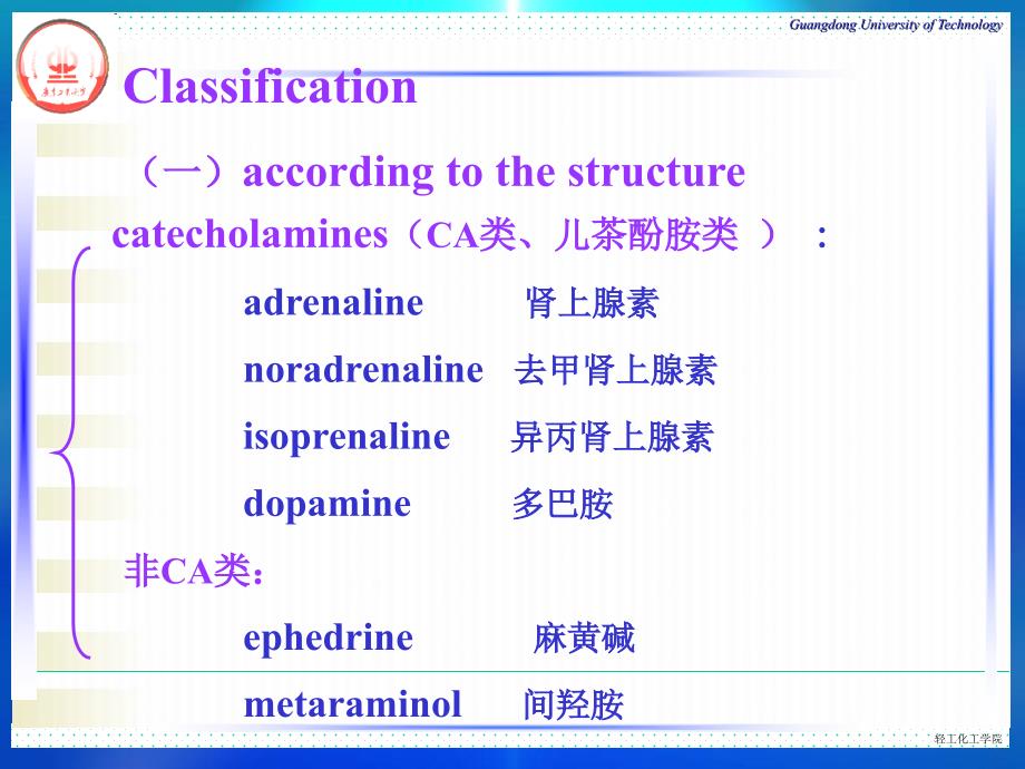 9第九章肾上腺素受体激动药文档资料_第2页