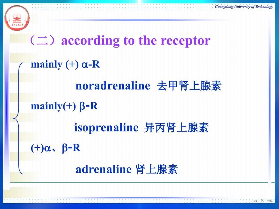 9第九章肾上腺素受体激动药文档资料_第3页