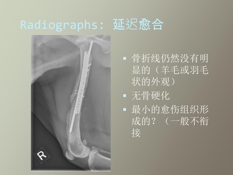 小动物骨折并发症_第5页