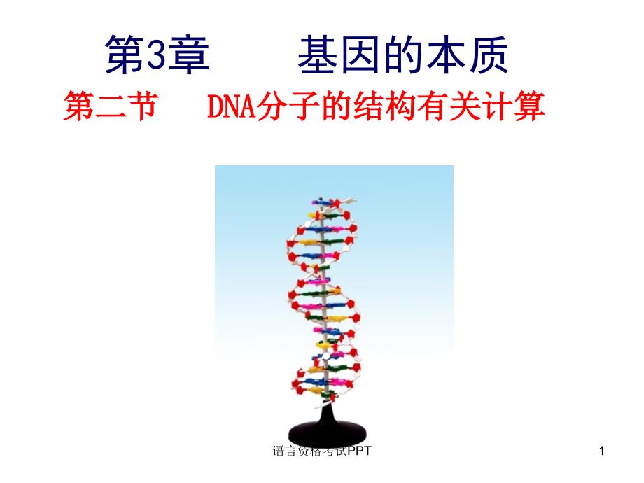 DNA分子的结构有关计算_第1页