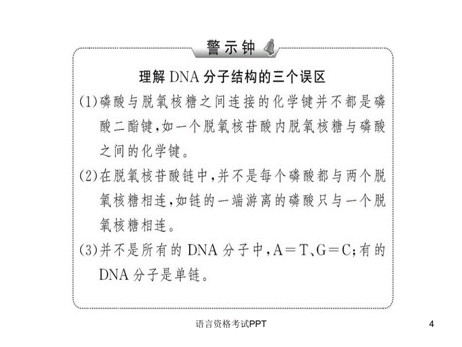 DNA分子的结构有关计算_第4页