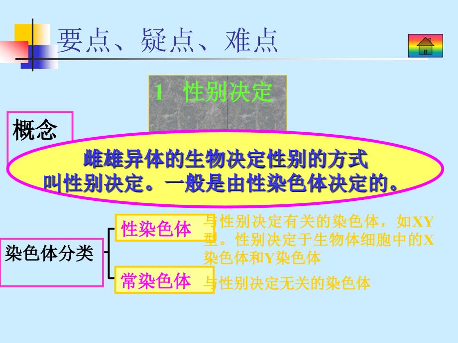 六课遗传与变异_第2页