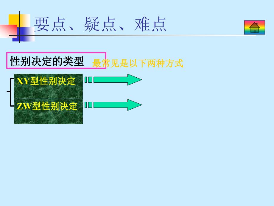 六课遗传与变异_第3页