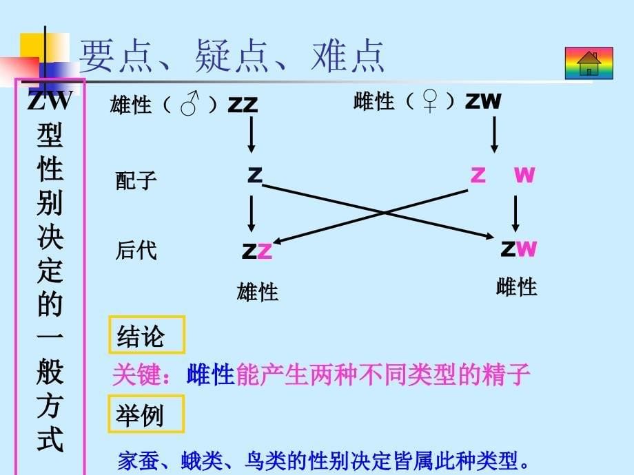 六课遗传与变异_第5页