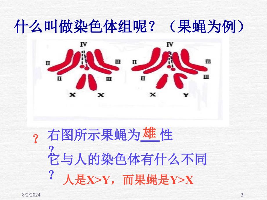 高二生物染色体变异_第3页