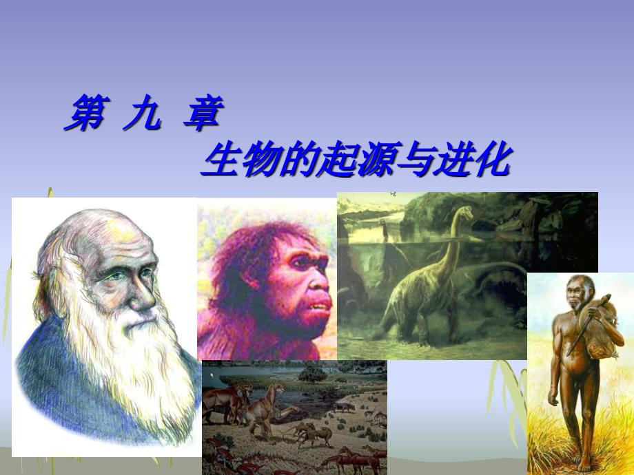 上海交通大学普通生物学生物的起源与进化PPT精选文档_第1页