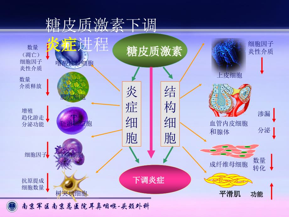 布地奈德在耳鼻咽喉的应用.ppt_第4页