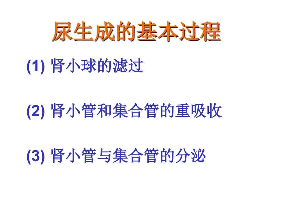 第八章尿的生成和排出8_第5页