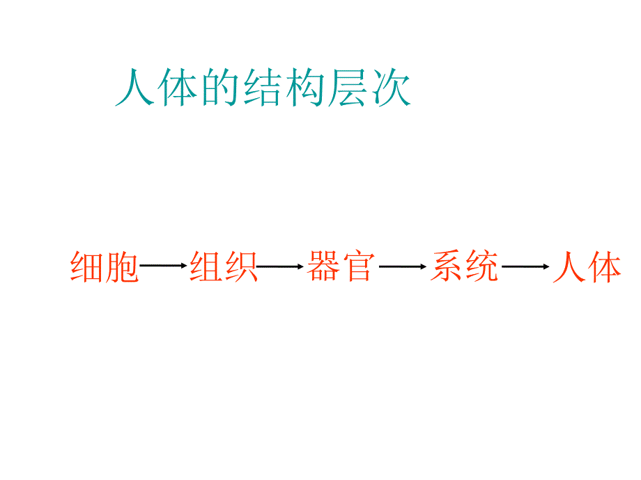 七下生物中考复习(08年用)_第2页