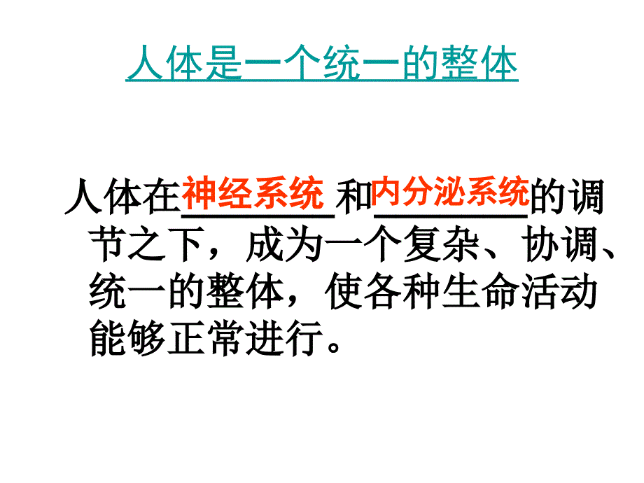 七下生物中考复习(08年用)_第4页