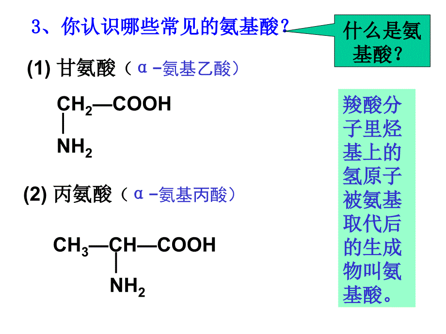 高中生物选修五氨基酸蛋白质.ppt_第2页