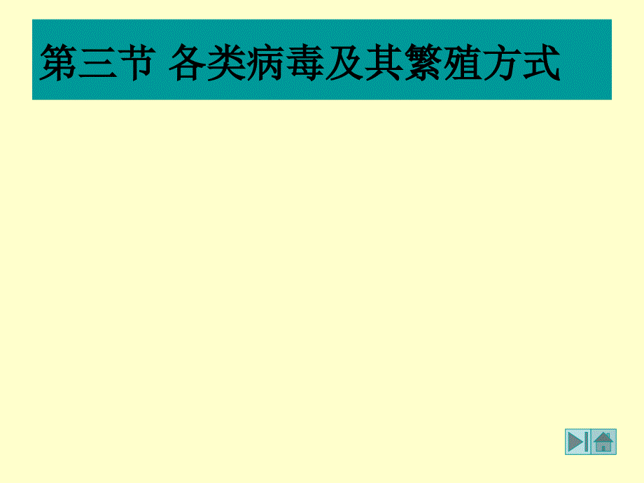 各类病毒及其繁殖方式_第1页