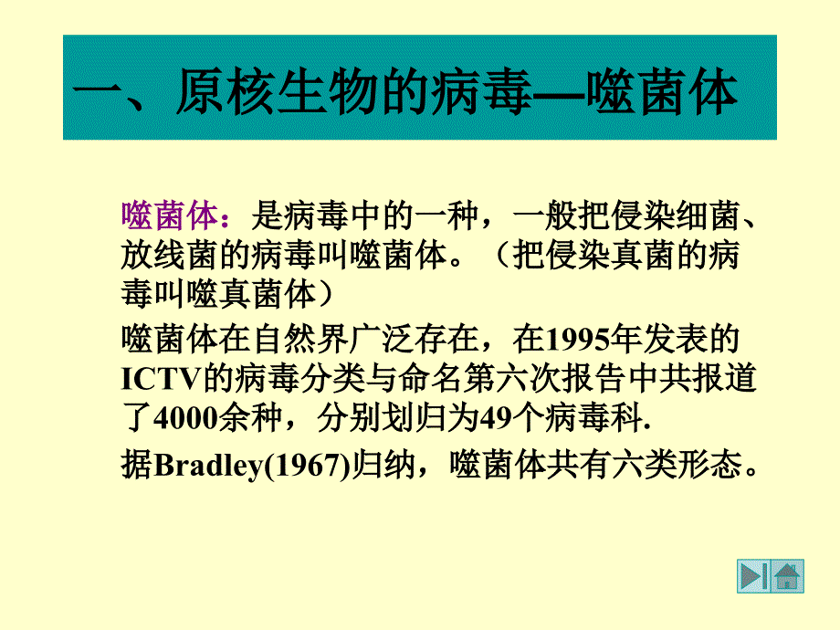 各类病毒及其繁殖方式_第2页