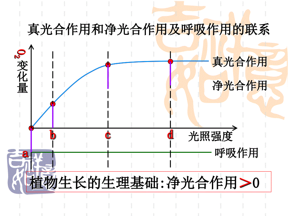 影响光合作用因素上课用_第4页