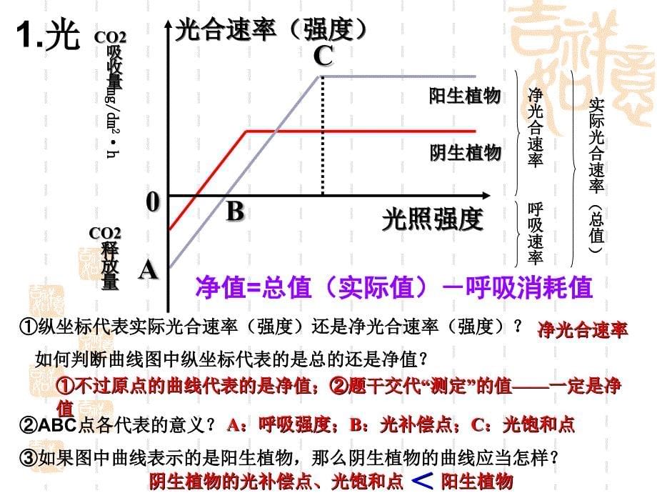 影响光合作用因素上课用_第5页