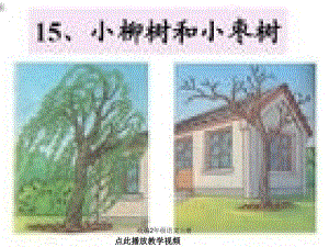 统编二年级语文上册-小柳树和小枣树